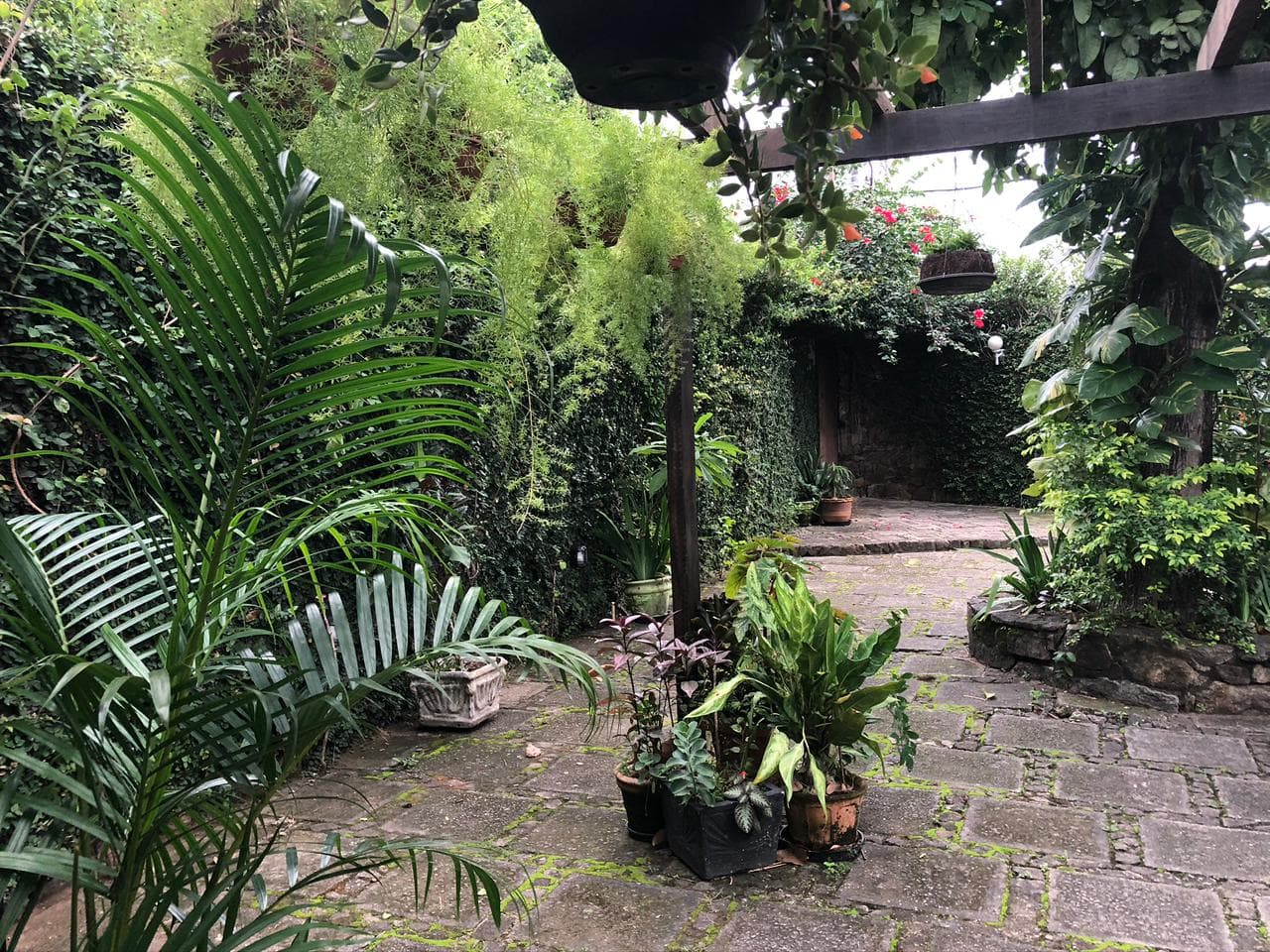 02 corredor verde